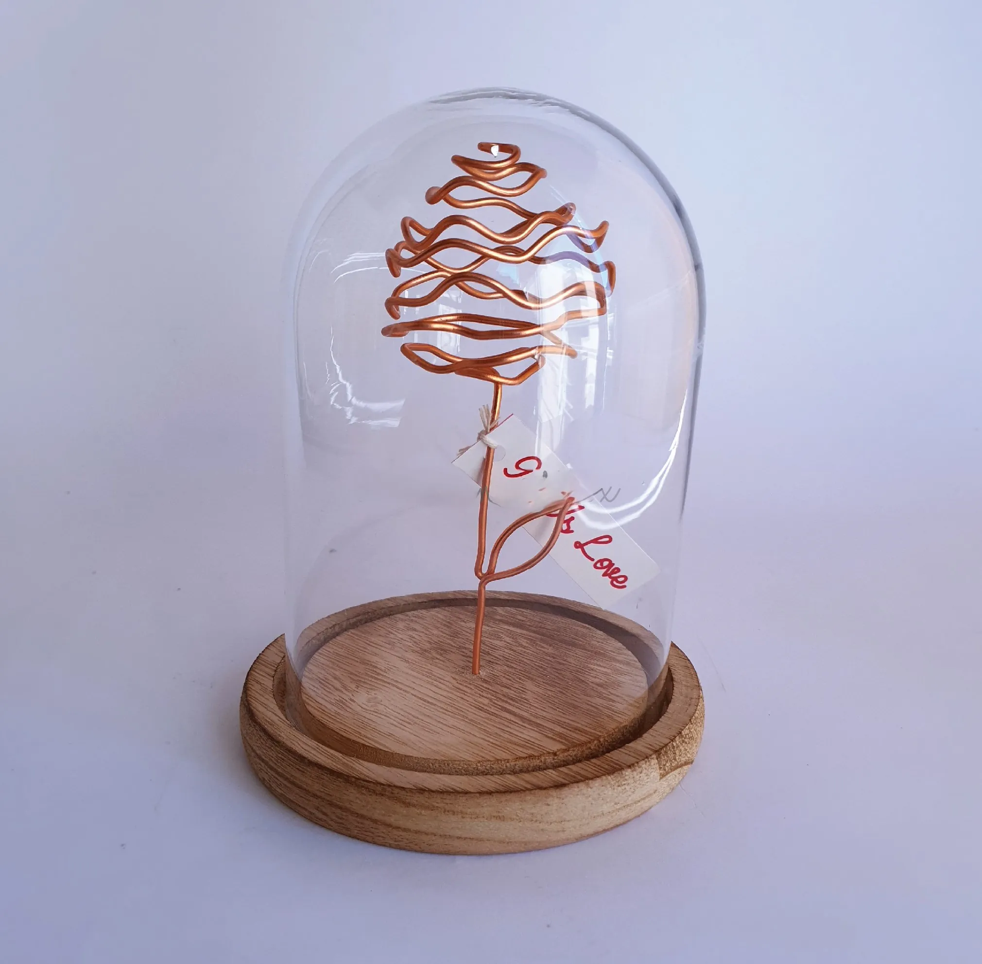 St Rita's Flower in a Globe